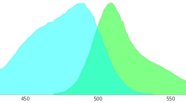 綠色熒光蛋白EX488和EM510是指什么？