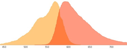 mApple紅色熒光蛋白的激發(fā)和發(fā)射波長